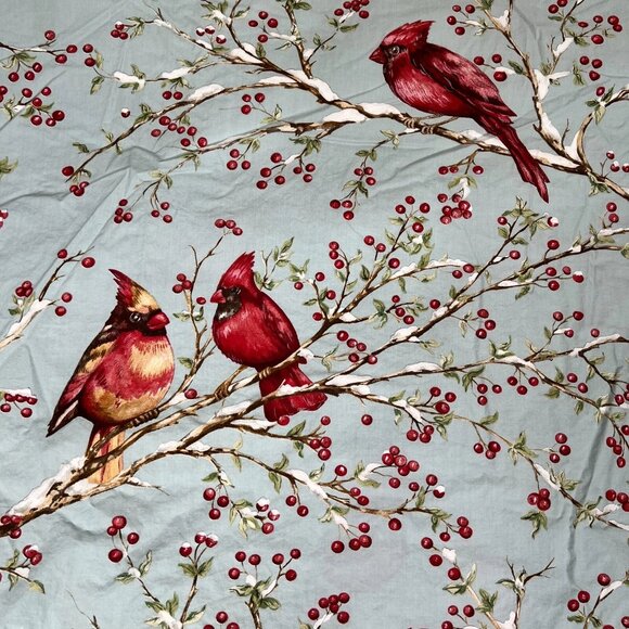 Pottery Barn Cardinal Bird Blue Red Full Queen Duvet cover Cotton Winter Berry - Picture 4 of 7